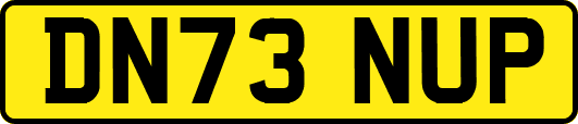 DN73NUP