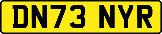 DN73NYR