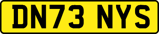 DN73NYS