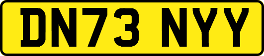 DN73NYY