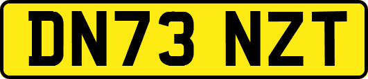 DN73NZT