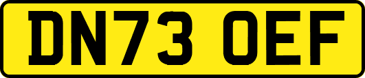 DN73OEF