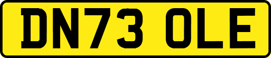 DN73OLE