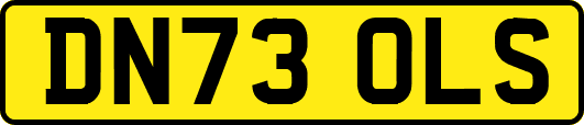 DN73OLS