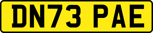 DN73PAE