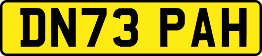 DN73PAH