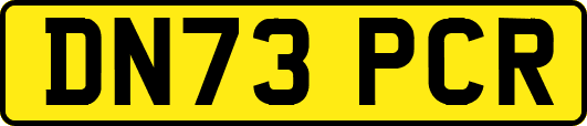 DN73PCR
