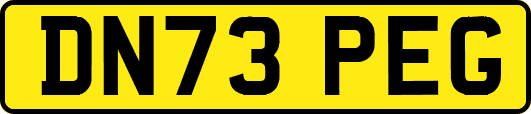 DN73PEG