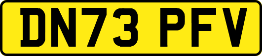 DN73PFV