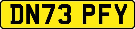 DN73PFY