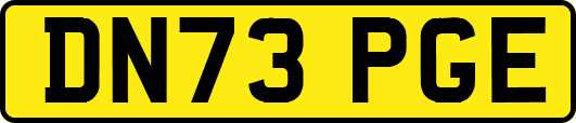 DN73PGE