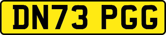 DN73PGG