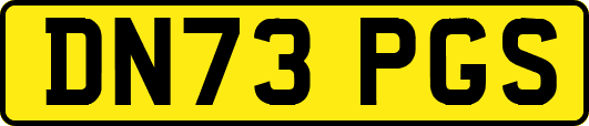 DN73PGS