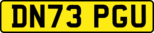 DN73PGU