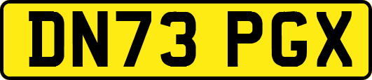 DN73PGX