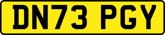 DN73PGY