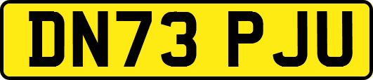 DN73PJU