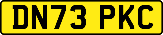 DN73PKC