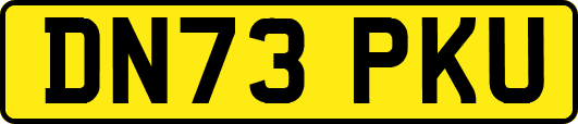 DN73PKU