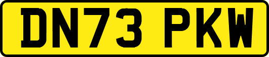 DN73PKW