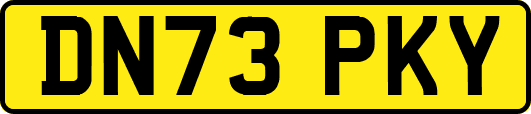 DN73PKY