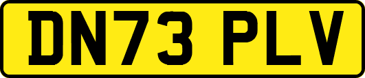 DN73PLV