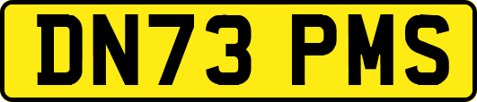 DN73PMS