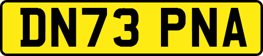 DN73PNA