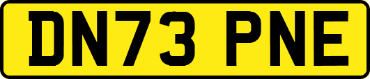DN73PNE
