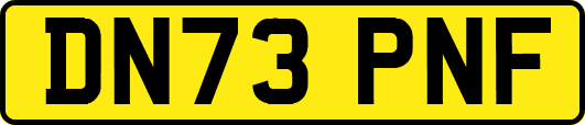 DN73PNF