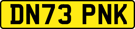 DN73PNK