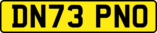 DN73PNO