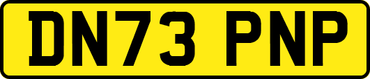 DN73PNP
