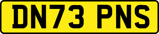 DN73PNS