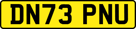 DN73PNU