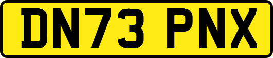 DN73PNX