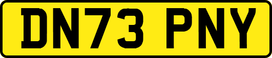 DN73PNY