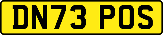 DN73POS