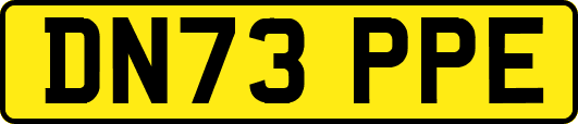 DN73PPE