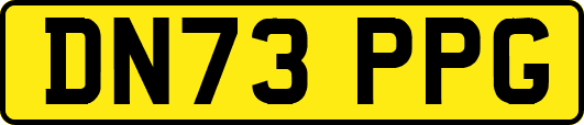 DN73PPG