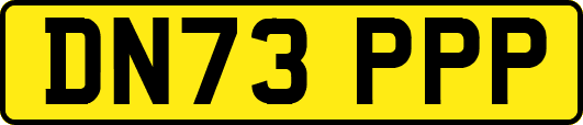 DN73PPP