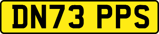 DN73PPS