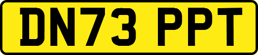 DN73PPT