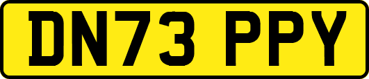 DN73PPY