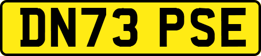 DN73PSE