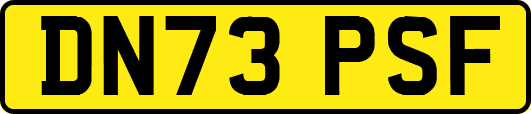 DN73PSF