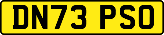 DN73PSO