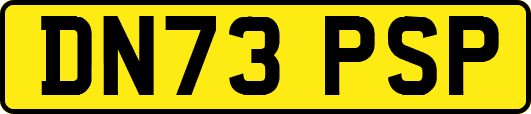 DN73PSP