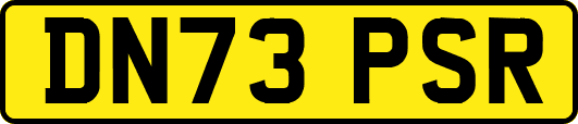 DN73PSR
