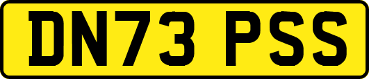 DN73PSS